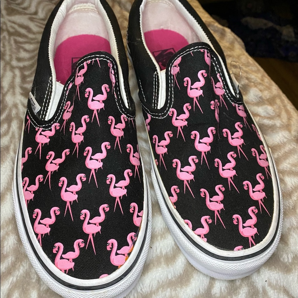 Flamingo Vans